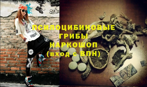 эйфоретик Заволжье