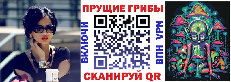 Псилоцибиновые грибы мухоморы  МЕГА сайт  Кадников 
